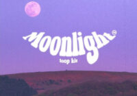 Aidan Han Moonlight [Guitar Loop Kit] WAV