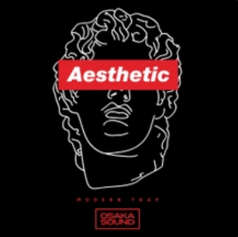  Aesthetic Modern Trap