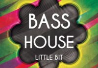 Little Bit Bass House 1 WAV
