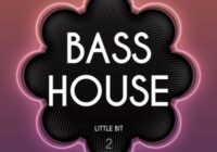 Little Bit Bass House 2 WAV