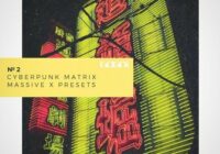 GOGOi Cyberpunk Matrix (Massive X Presets)
