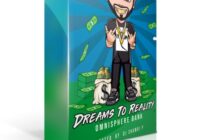 DJ Shawdi P Dreams To Reality [Omnisphere Bank]