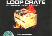 Canary Julz Loop Crate WAV