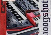 Cartel Loops Moog Shots (One-Shot Kit)