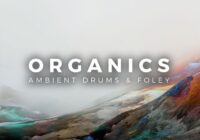 Organics – Ambient Drums & Foley WAV MIDI