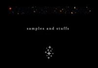 Pandi Samples And Stuffs 1 WAV