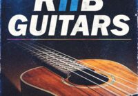Cartel Loops RnB Guitars (Compositions & Stems)