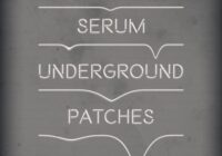 SM101 Serum Underground Patches WAV FXP