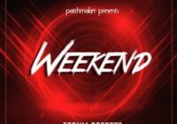 Patchmaker The Weekend (Serum Presets)