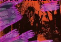 Traptendo Trap Wizard XP For ElectraX