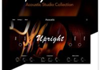 Muze Upright Bass KONTAKT