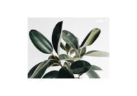 Austin Marc Drum Kit Vol.1 WAV