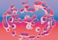 WavSupply georgie Decemburr (Drum Kit) WAV