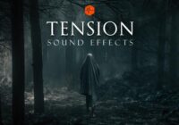 Triune Digital Tension SFX WAV