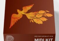 DrumVault Reincarnation (Midi Kit)