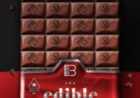 Brandon Chapa Edible Loop Kit WAV MIDI