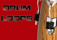 Bunker 8 Digital Labs Latin Drum Loops WAV