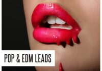 Concept Samples Pop & EDM Leads WAV