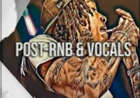 Catalyst Samples Post RnB & Vocals WAV