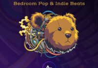 ADSR Sounds Tinker – Bedroom Pop & Indie Beats WAV FXP