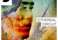 Samplephonics Ethereal Circuit MULTIFORMAT