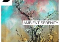Samplephonics Ambient Serenity MULTIFORMAT