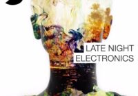 Samplephonics Late Night Electronics MULTIFORMAT