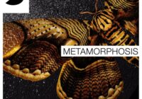 Samplephonics Metamorphosis MULTIFORMAT