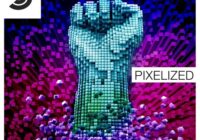 Samplephonics Pixelized MULTIFORMAT