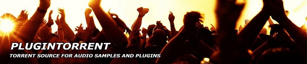 Plugintorrent