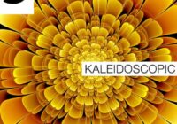 Samplephonics Kaleidoscopic MULTIFORMAT