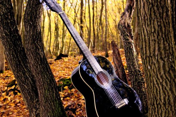 Learn Guitar quickly & simply! Crash course for beginners TUTORIAL