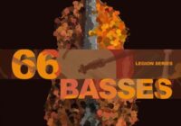 Legion Series: 66 Bass Ensemble KONTAKT