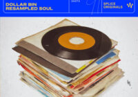 Dollar Bin – Resampled Soul WAV