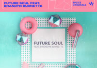 Future Soul Vol.1 with Brandyn Burnette WAV PRESETS