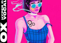 VOX HyperPop Vocals WAV