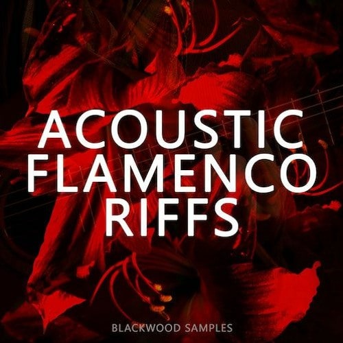 Blackwood Samples Acoustic Flamenco Riffs WAV