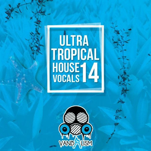 Ultra Tropical House Vocals 14 WAV MIDI