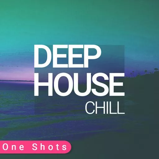 Whitenoise Records Chill Deep House ONE SHOTS WAV