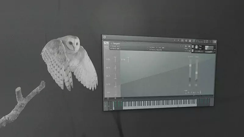 Wrongtools Tangent