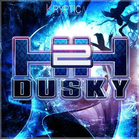 Kryptic Samples HH Dusky 2 WAV MIDI