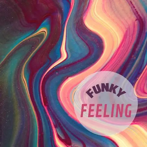 PrzystekRecords Funky Felling WAV MIDI