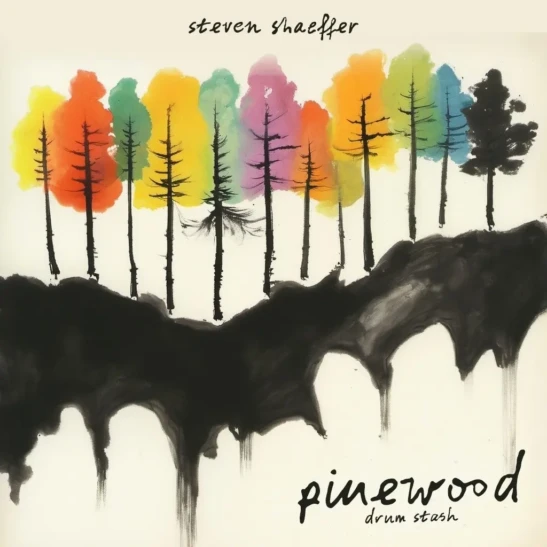 Steven Shaeffer Pinewood Drum Stash WAV