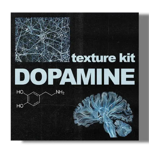 SamplesWave Textures And Accents Kit-Dopamine WAV